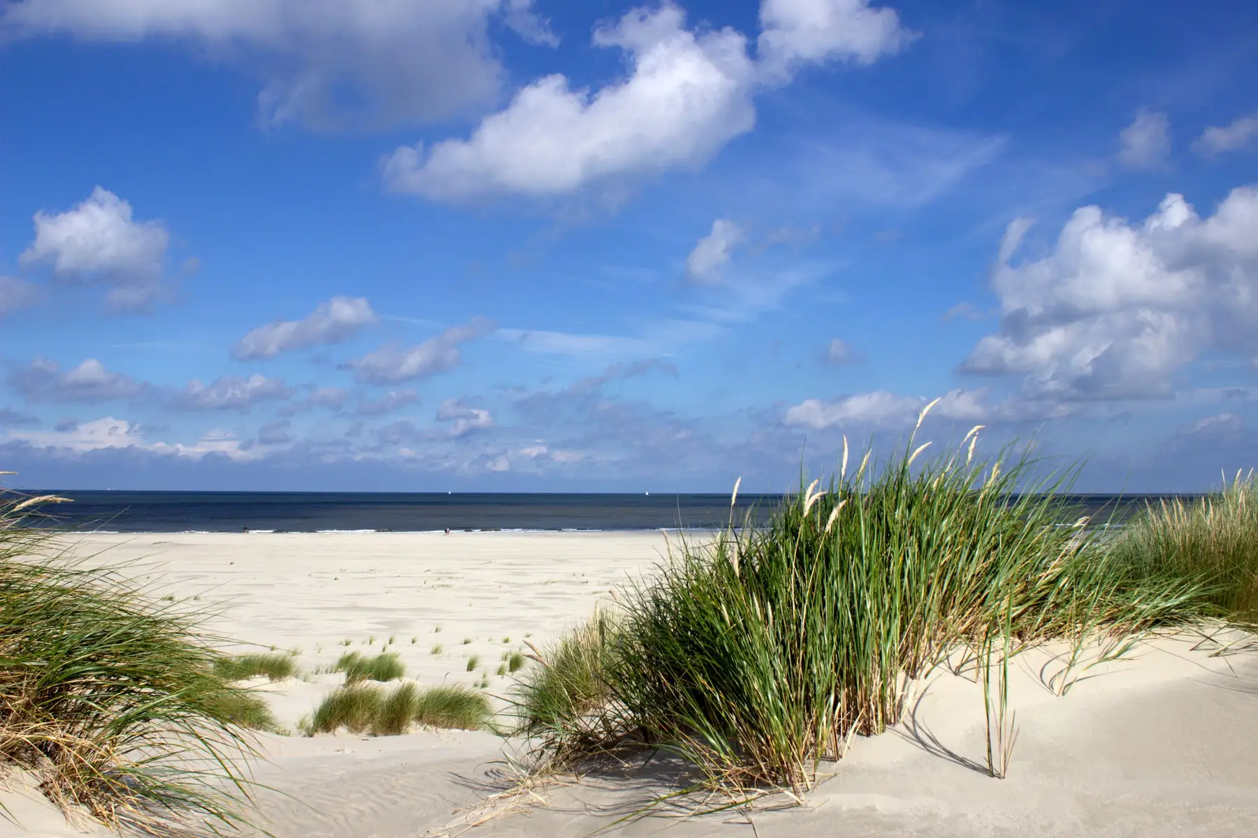 Sanddyner och strandråg vid havet